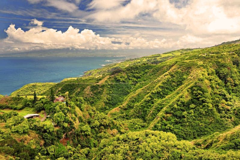 For adventure seekers, the Waiheʻe Ridge Trail offers sweeping vistas of Maui’s northeastern coastline and the sparkling ocean