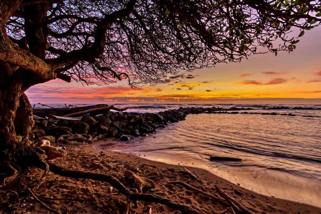 Nestled on Kauaʻi’s eastern shore, Lydgate Beach Park is perfect for early risers staying near Kapaʻa or Līhuʻe